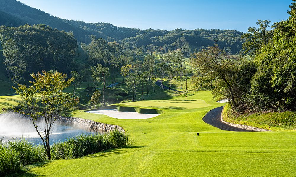 Sejong/Ray Course