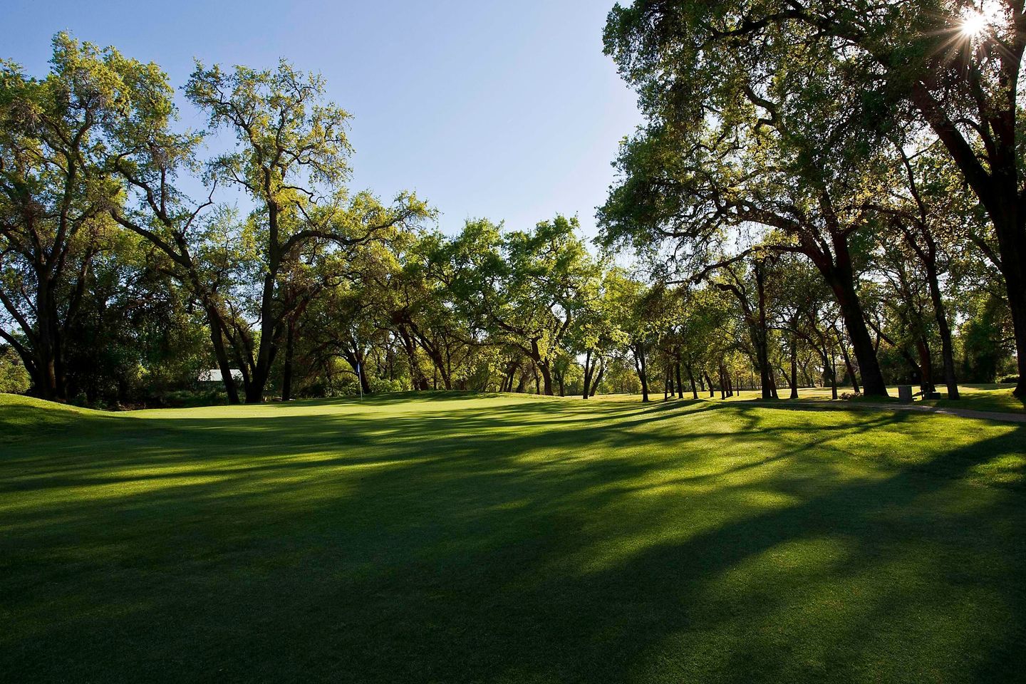 Sherwood Forest Golf Club in Sanger, California, USA GolfPass