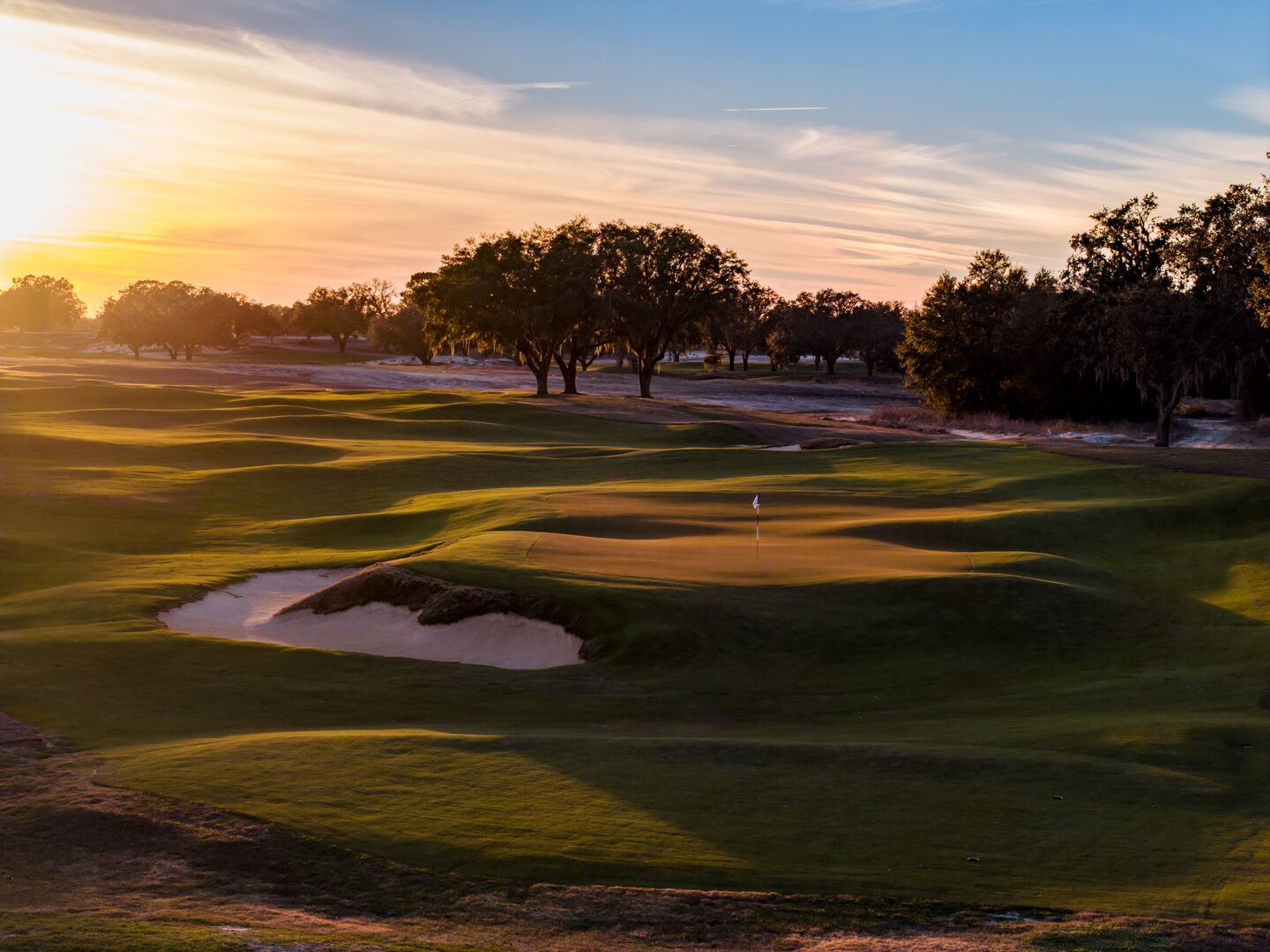 The Roost Course