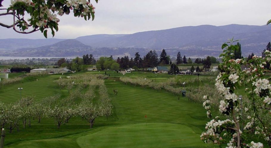 Orchard Greens Golf Club