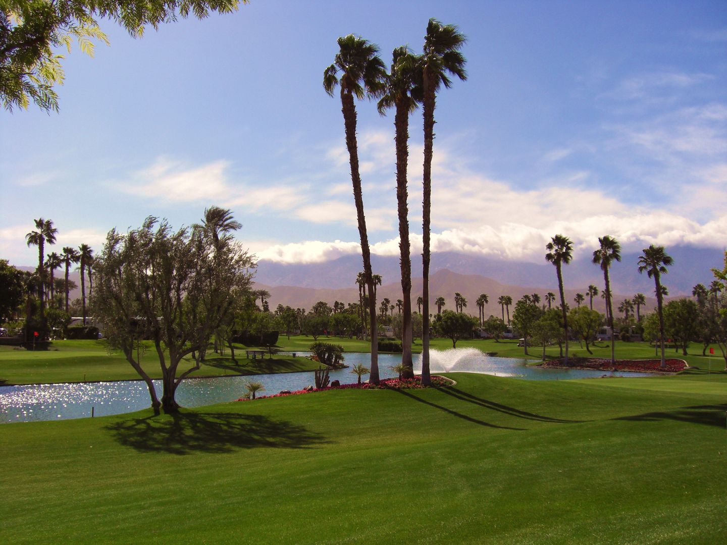 Nine Hole