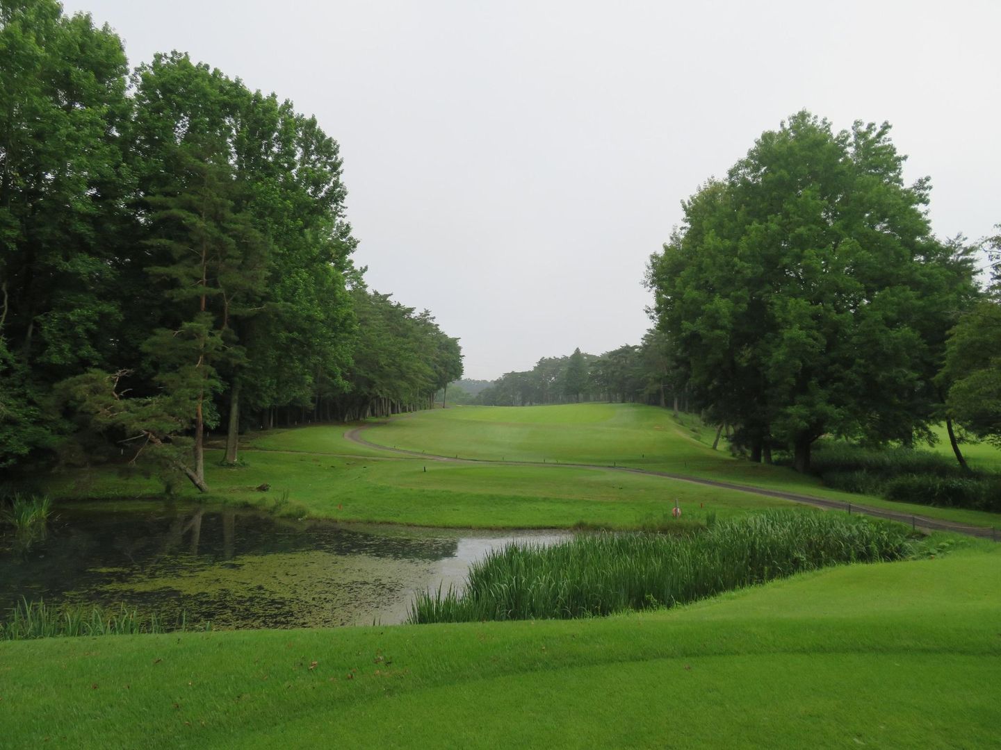 South Course
