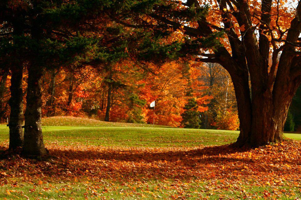 Root River Golf Club