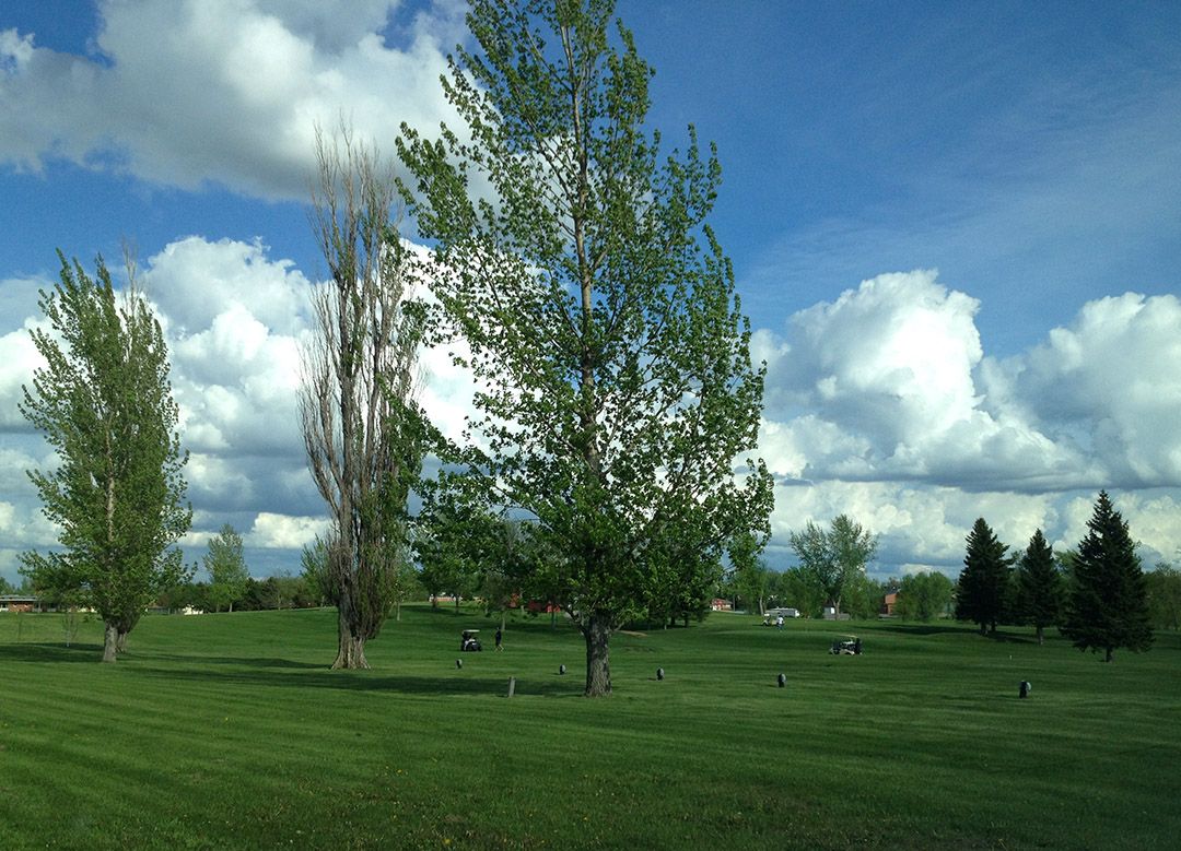 Webster Golf Course