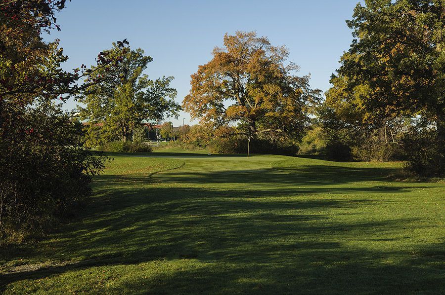 MarchWood Course