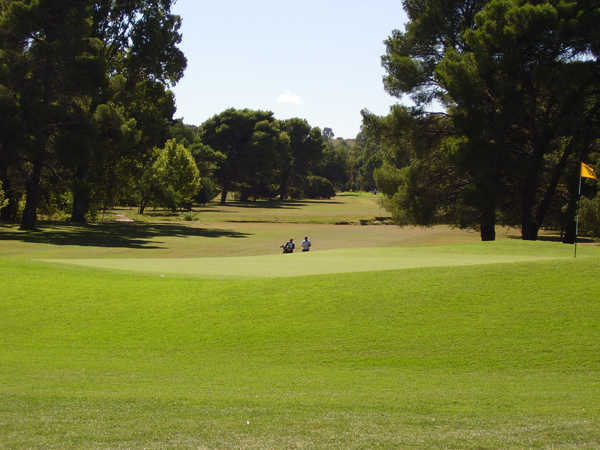Yellow/Blue Course