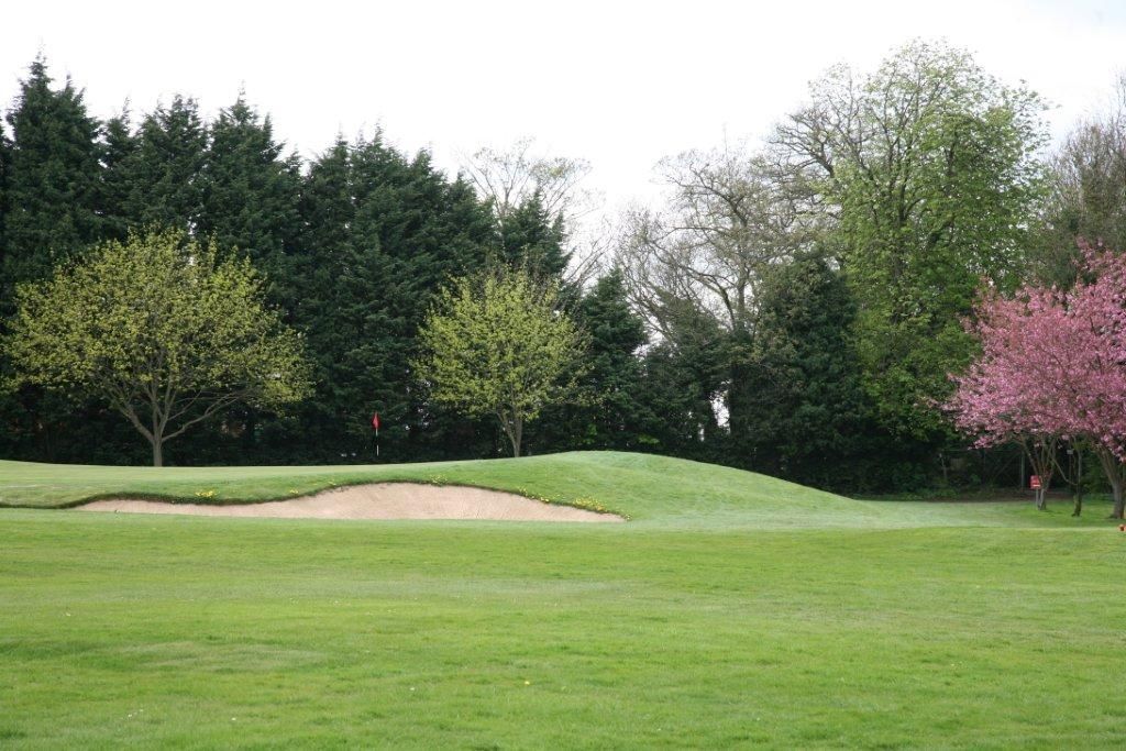 Shendish Manor Hotel & Golf Club