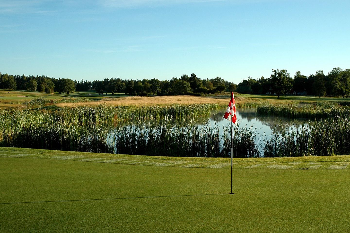 Yellow Course