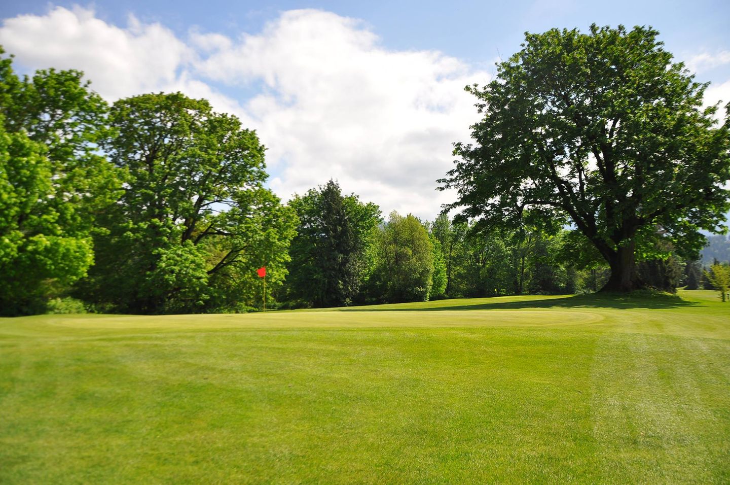 Kinkora Golf Course in Sardis, British Columbia, Canada GolfPass