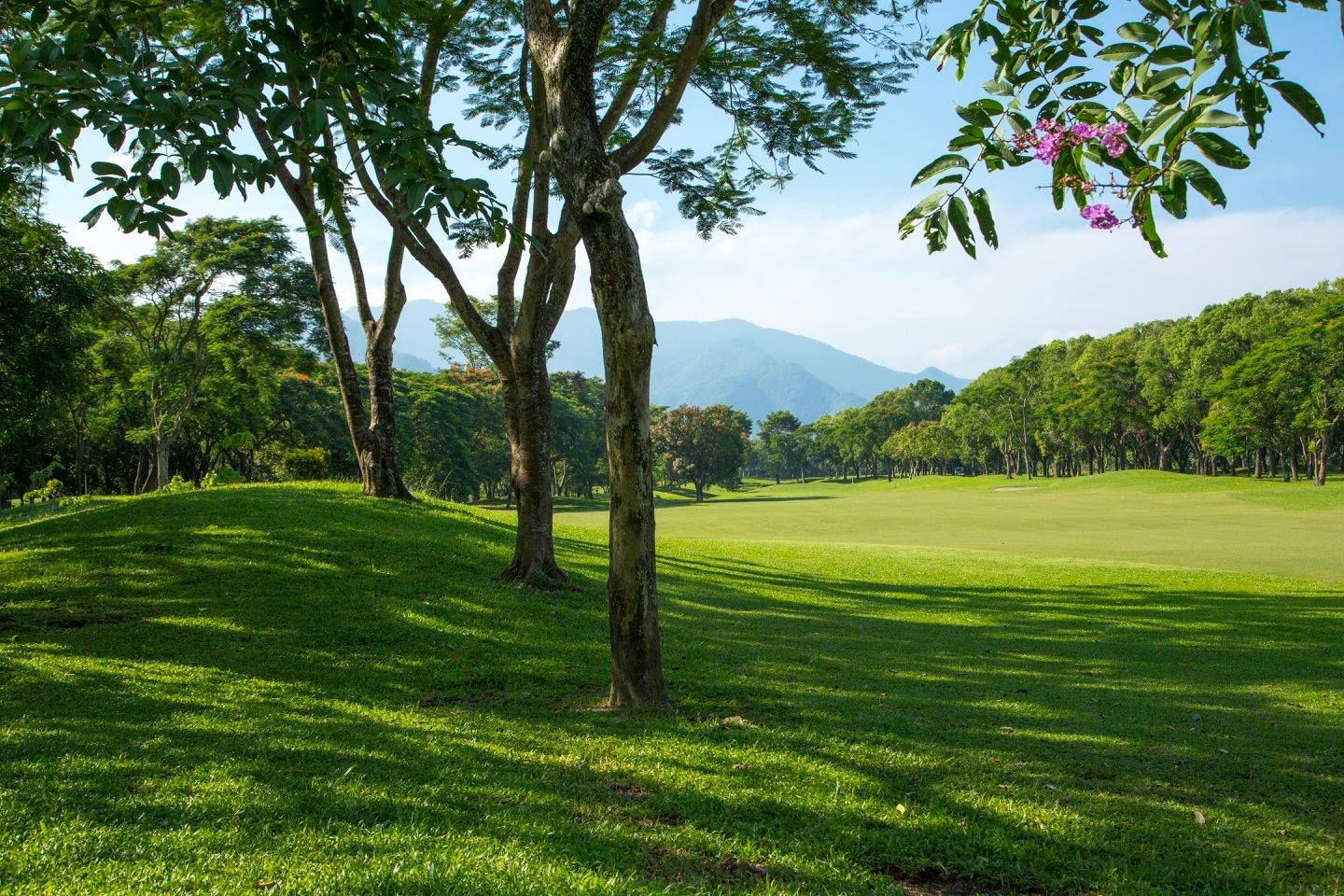 Hills Course
