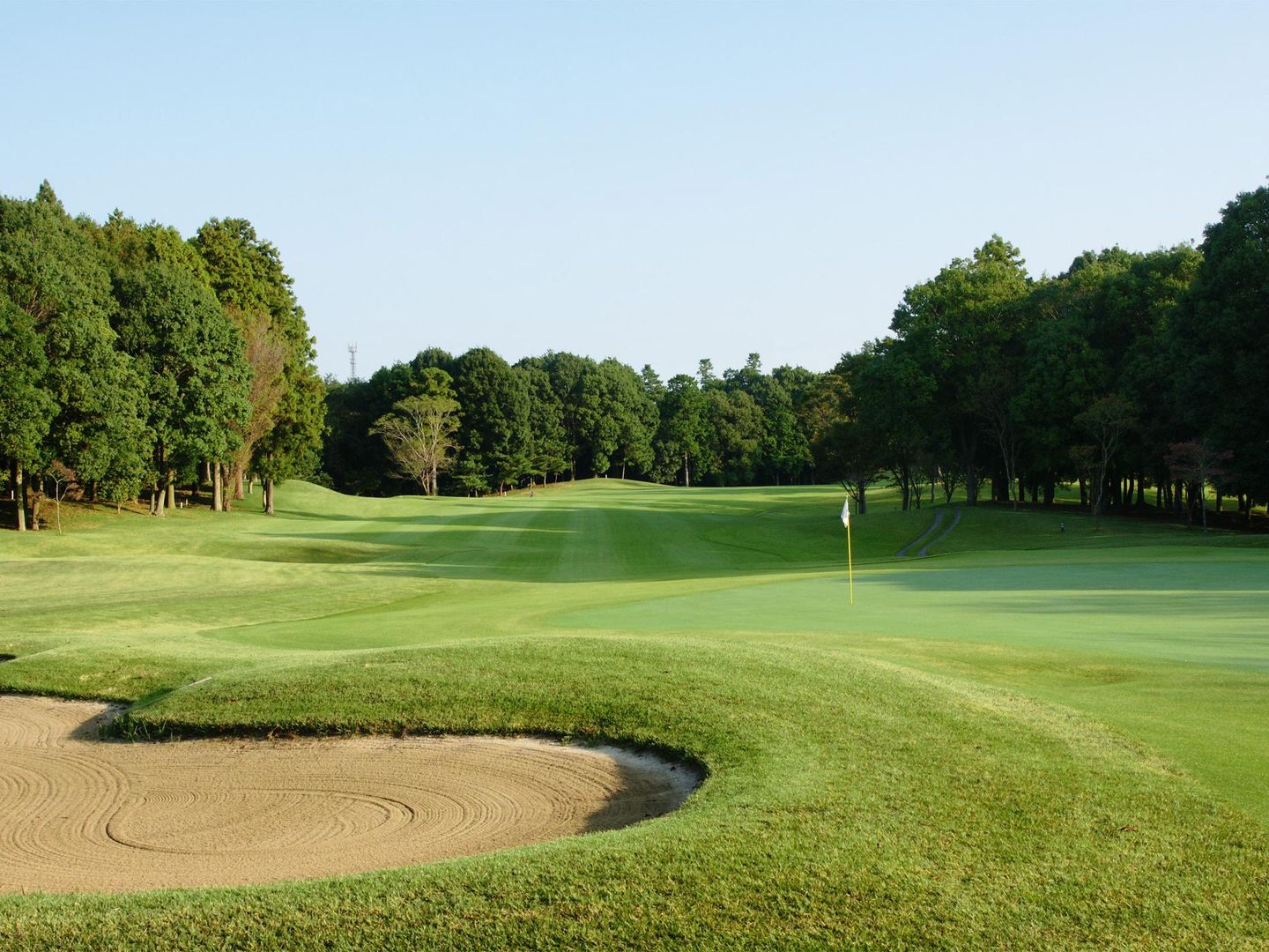 Middle/South Course
