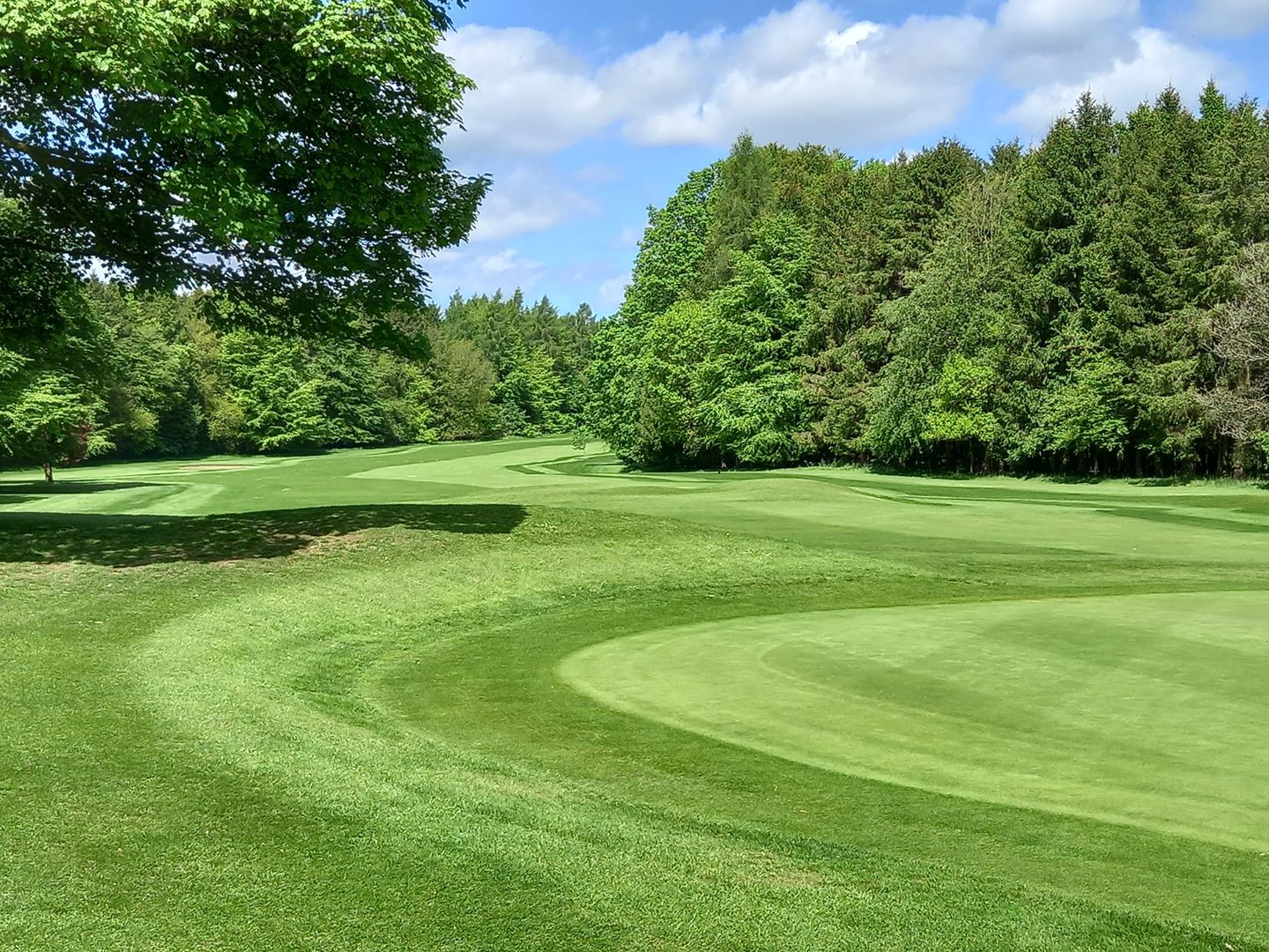 The Montgomery Course