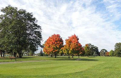 Green Oaks Golf Course