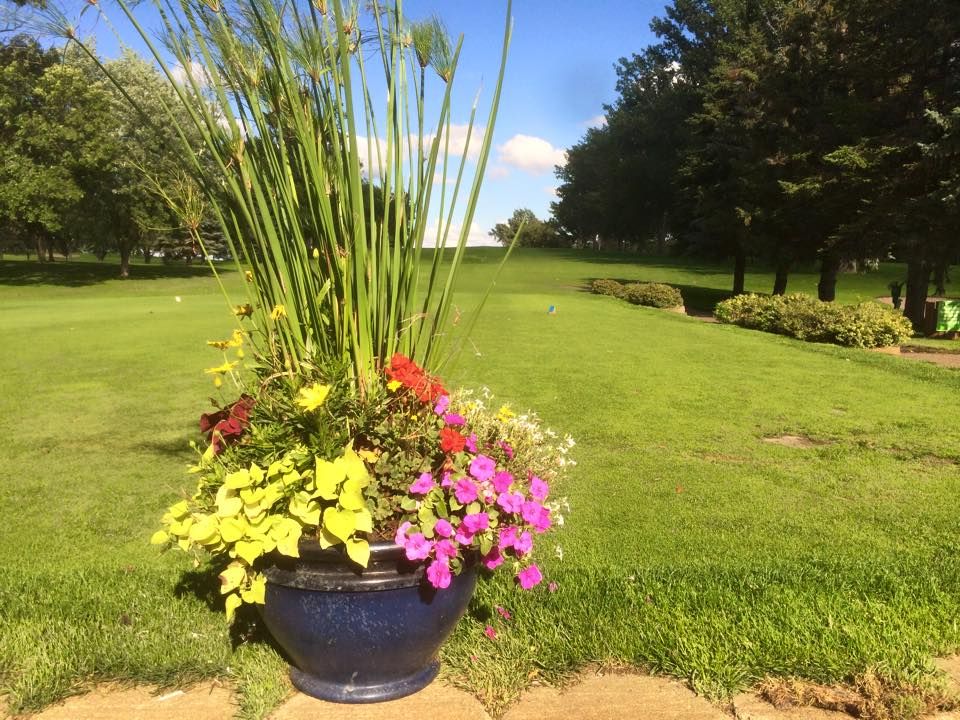 Pine to Palm Course