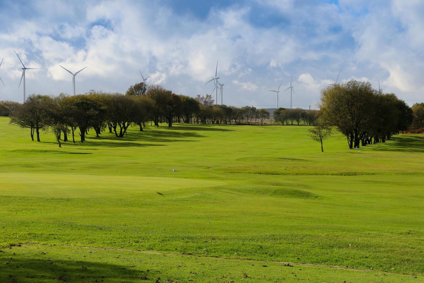 Green Haworth Golf Club