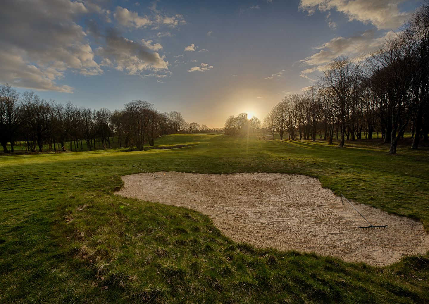 Forest Course