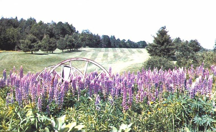 Springbrook Golf Club