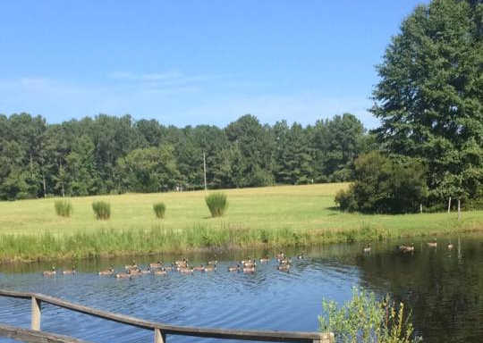 Cypress Lake Par-3 Golf Course