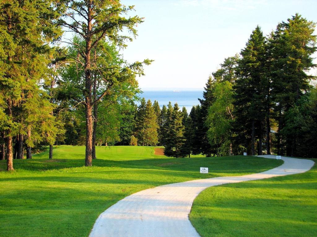 Golf des Saules
