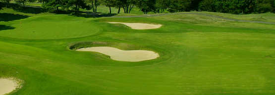 Sakura/Tsubaki Course