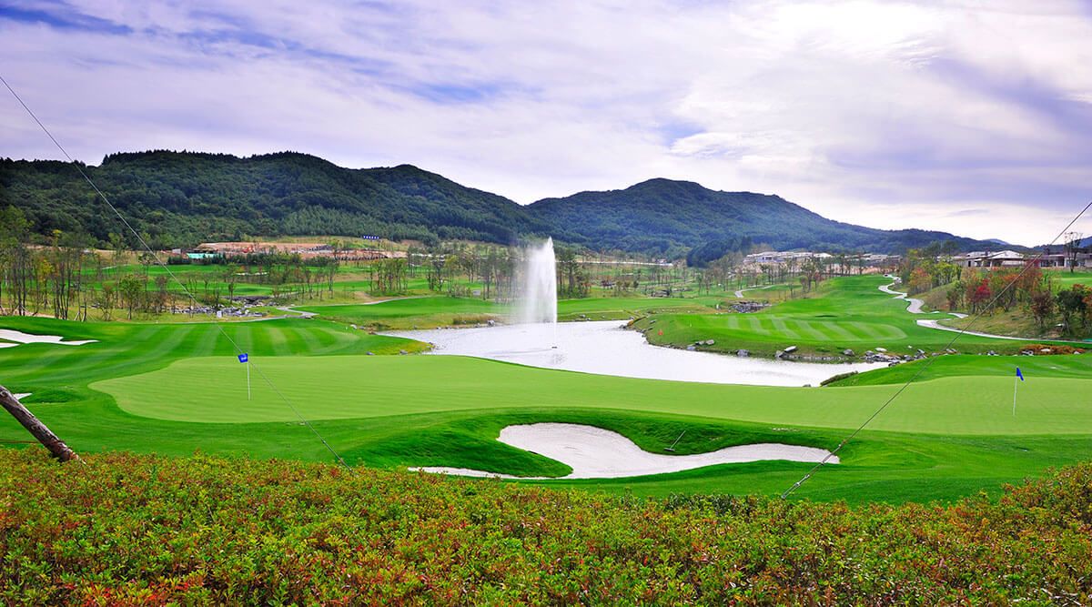 Meadow Course