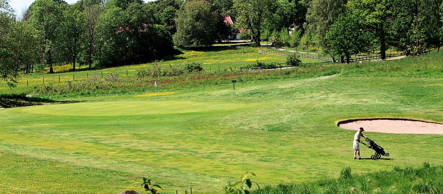 New Course