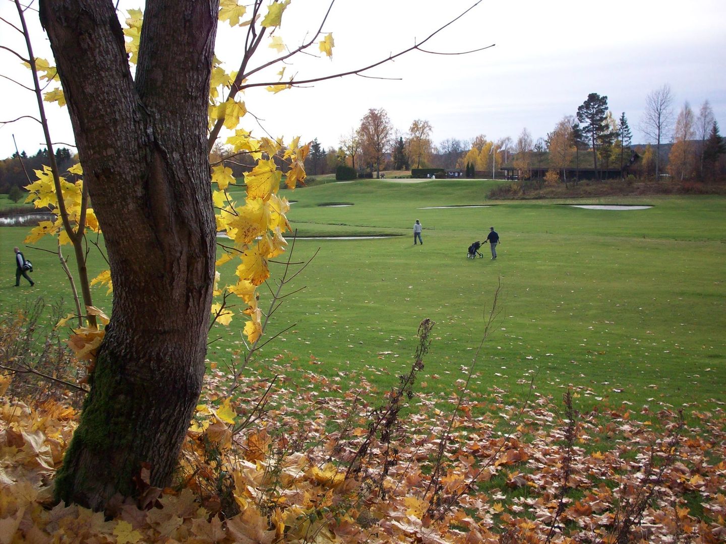 Grenland & Omegn Golf Club