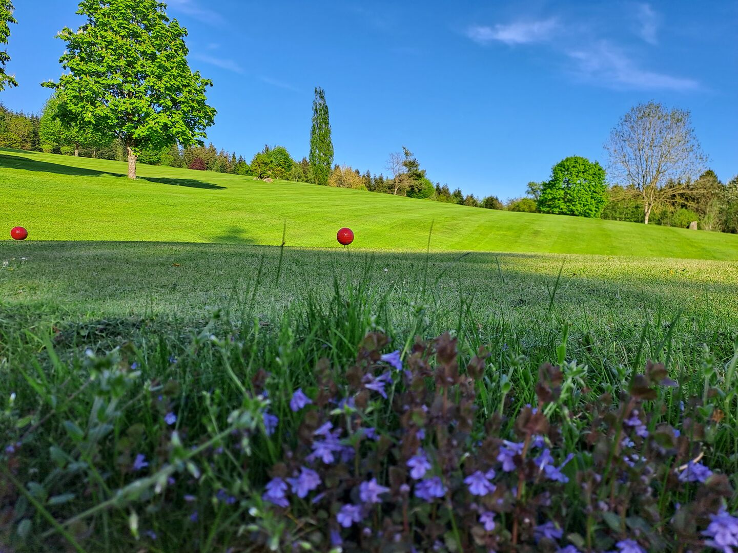 GolfClub Über den Dächern von Passau