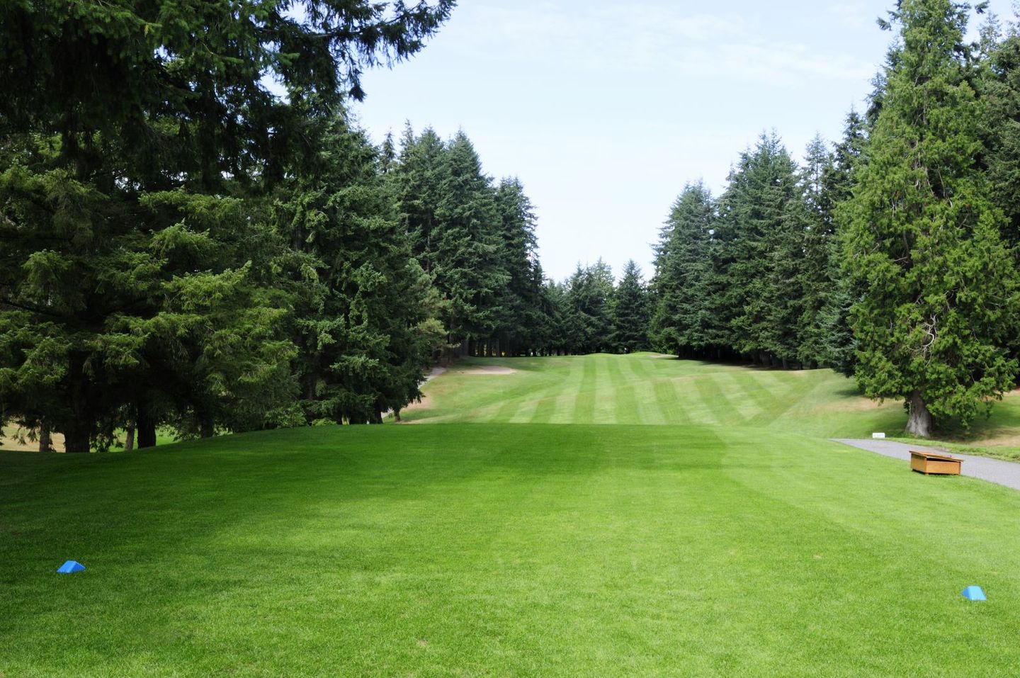 The Hills at Portal Golf Club