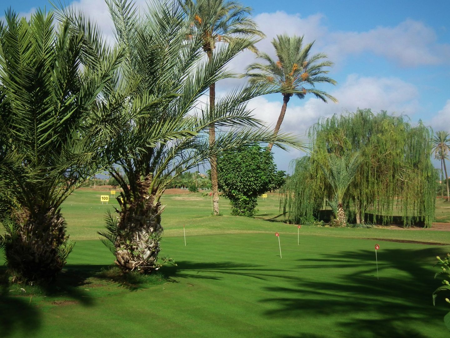 Red Course
