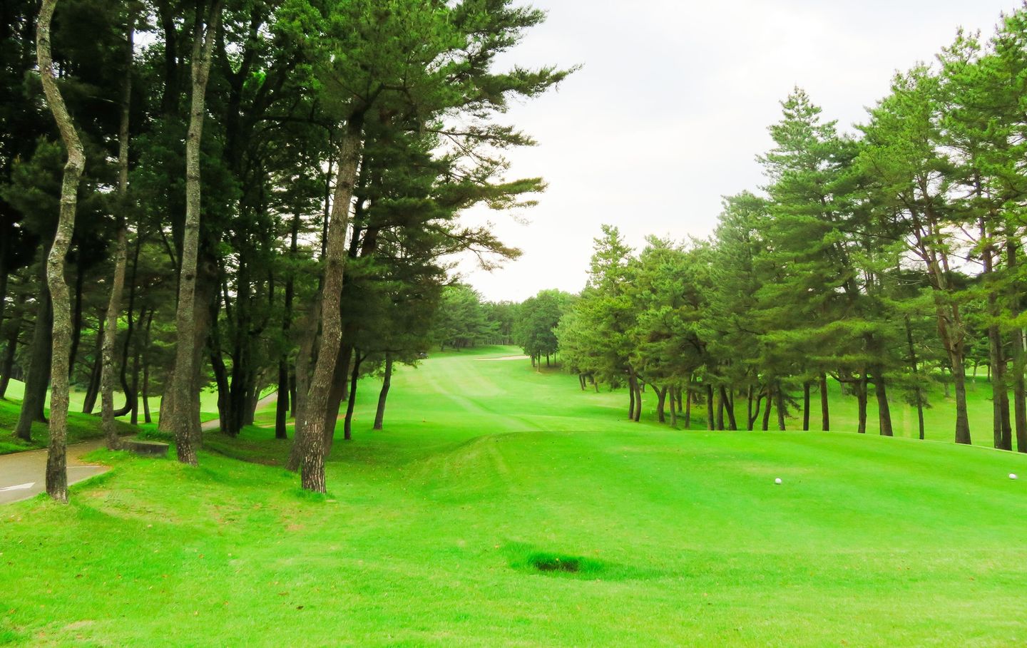 Kumamoto Kuko Country Club