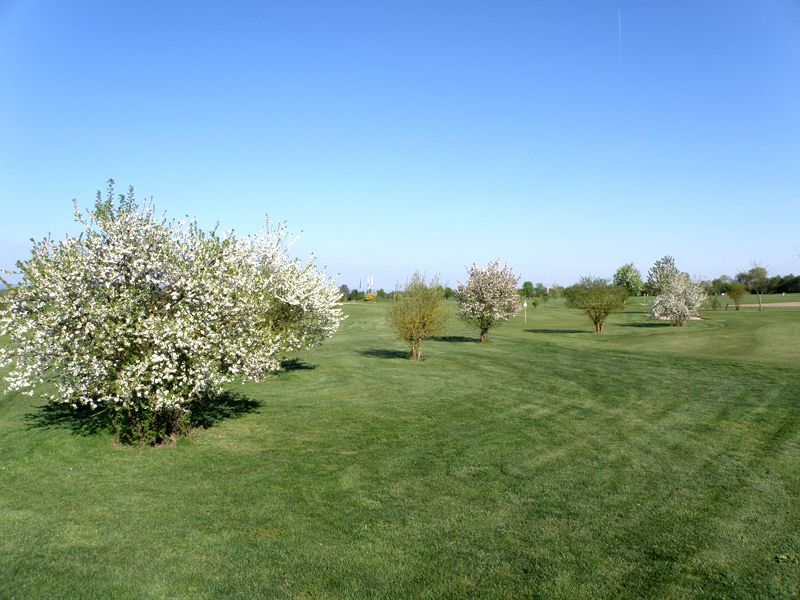 Short Course