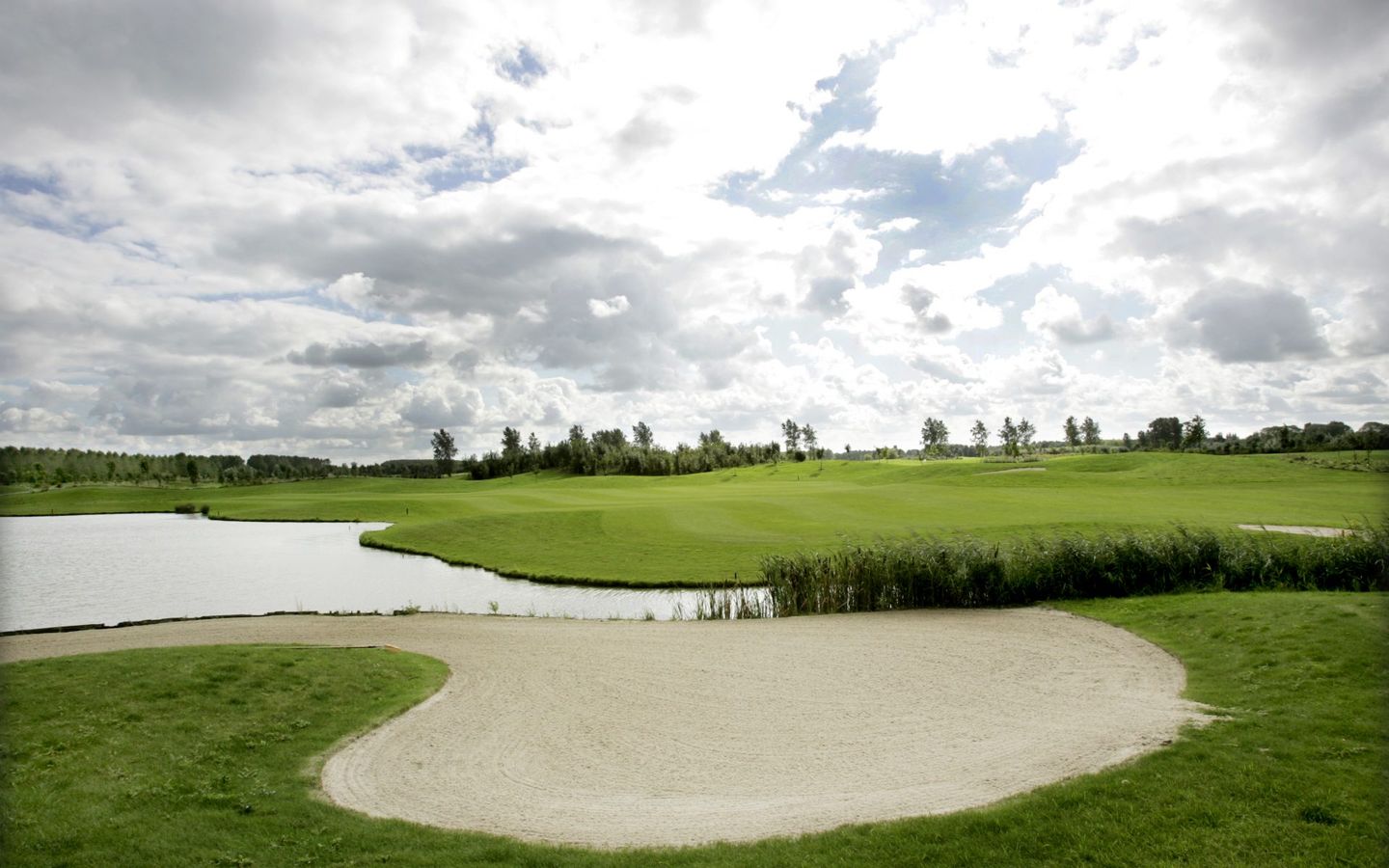Yellow Course