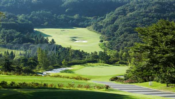 New Springville Country Club