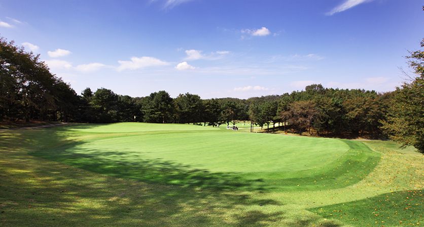 Tiger Course