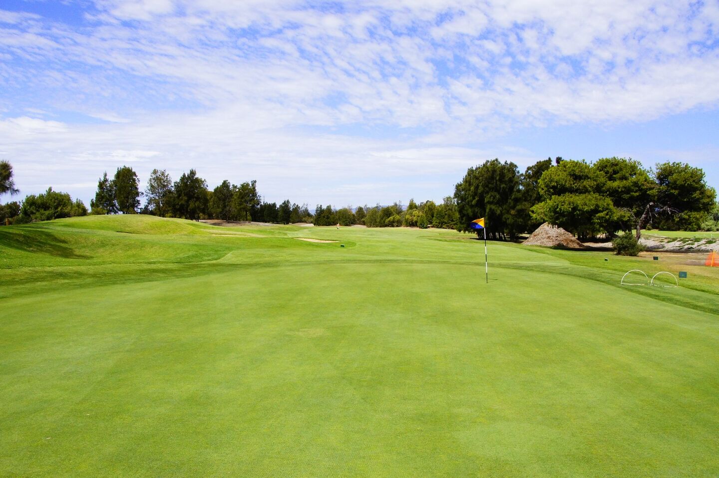 Executive 50 Course