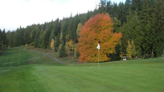 North Shuswap Golf Club