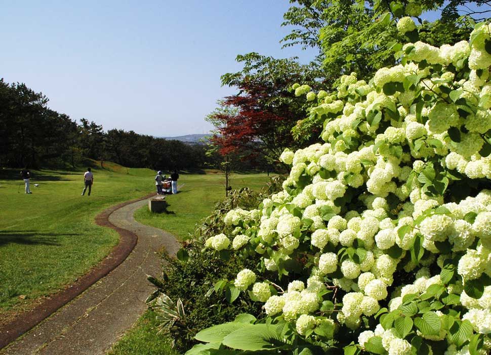 Mt. Taihei/Sea of Japan Course