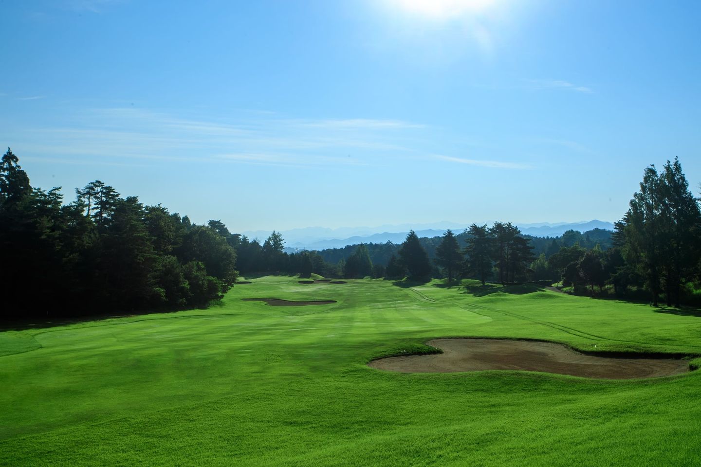 Pine/Plum Course