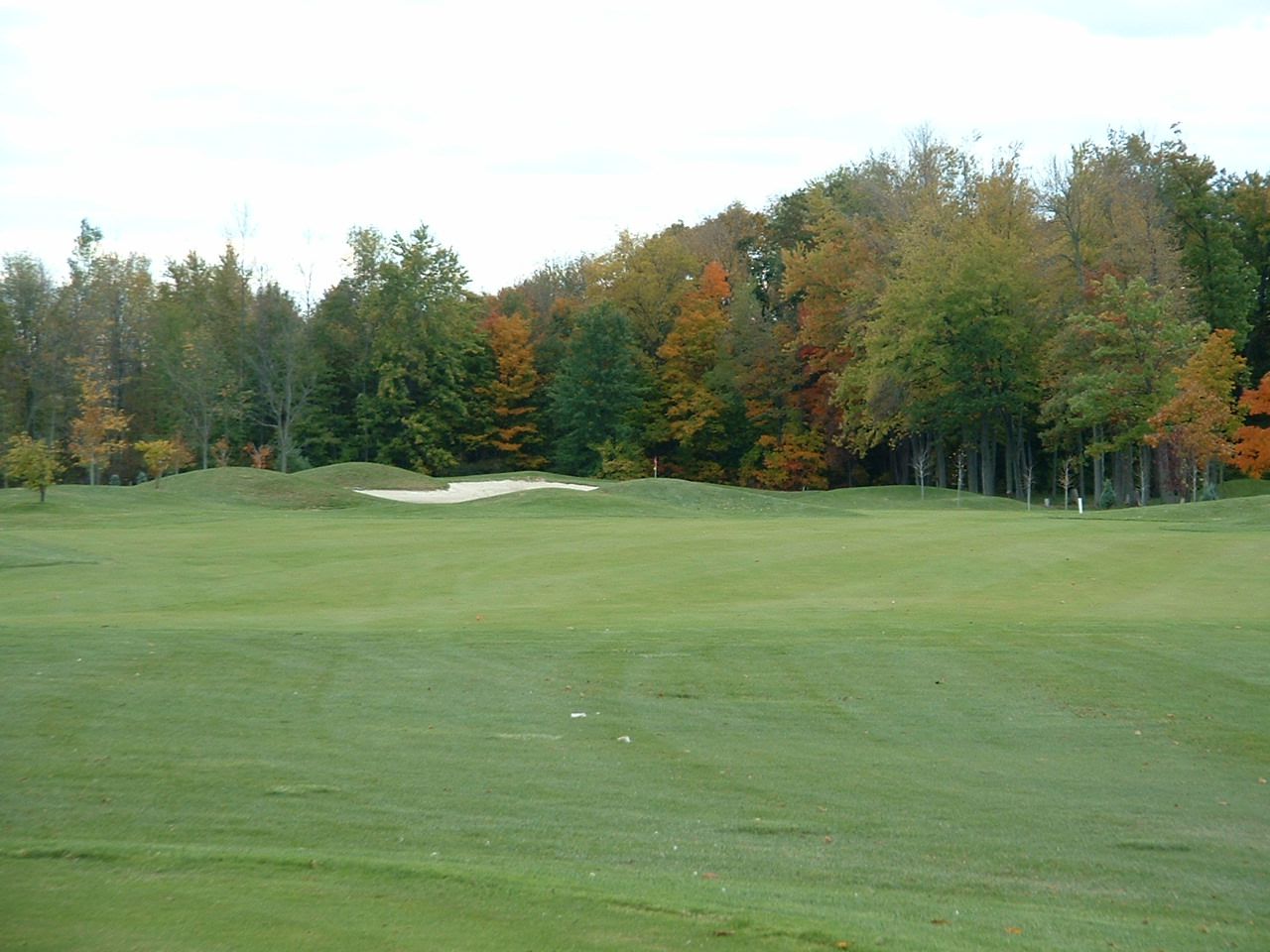 Richmond Forest Golf Club