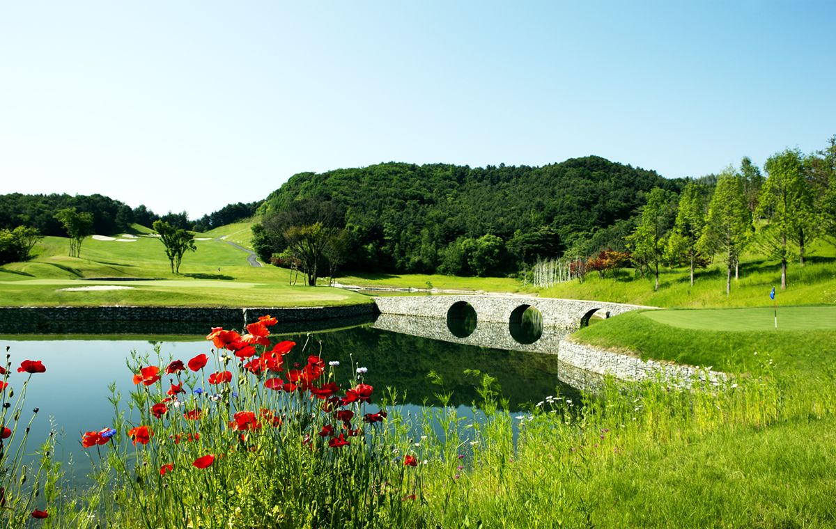 Zelkova Course