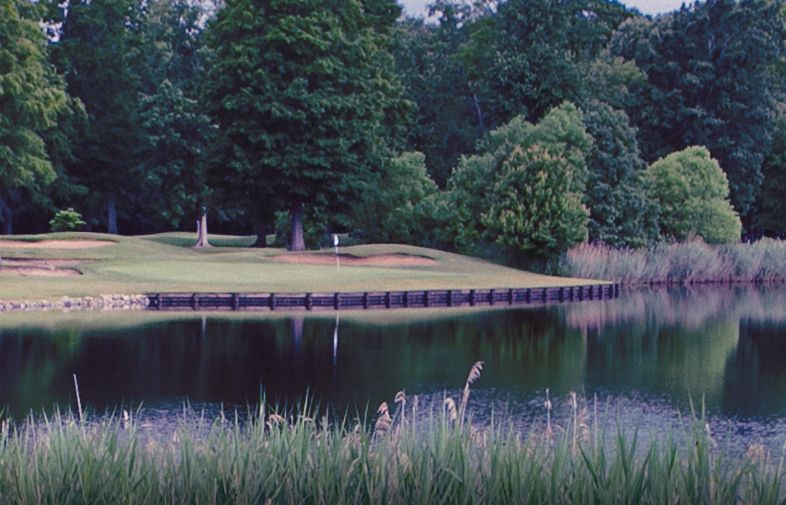 Woods/Links