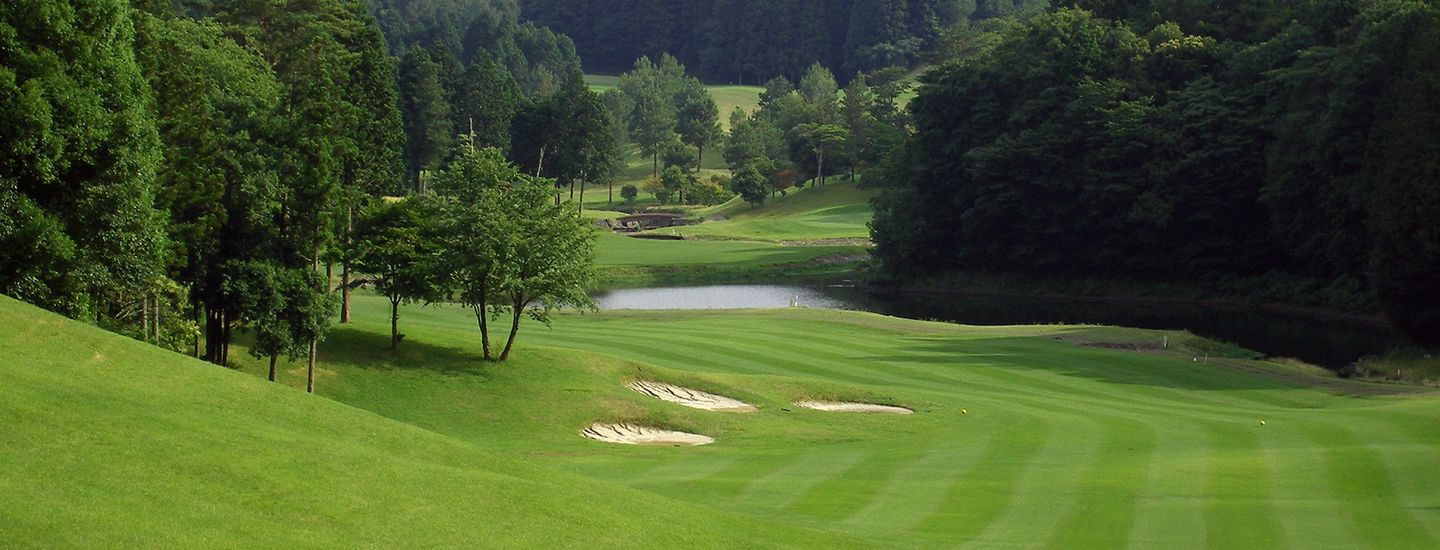 Out/New Course