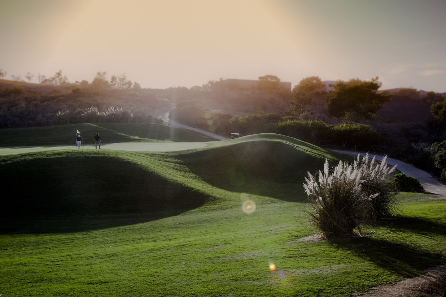 Carnoustie Course