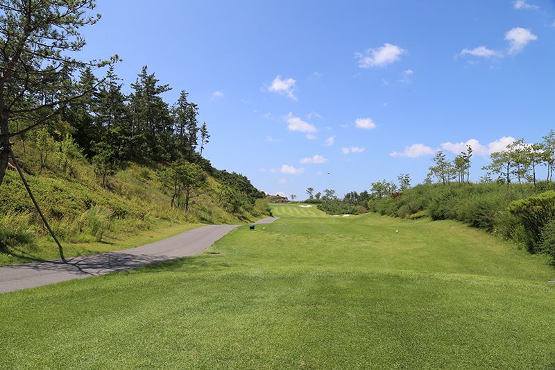 Pine Course