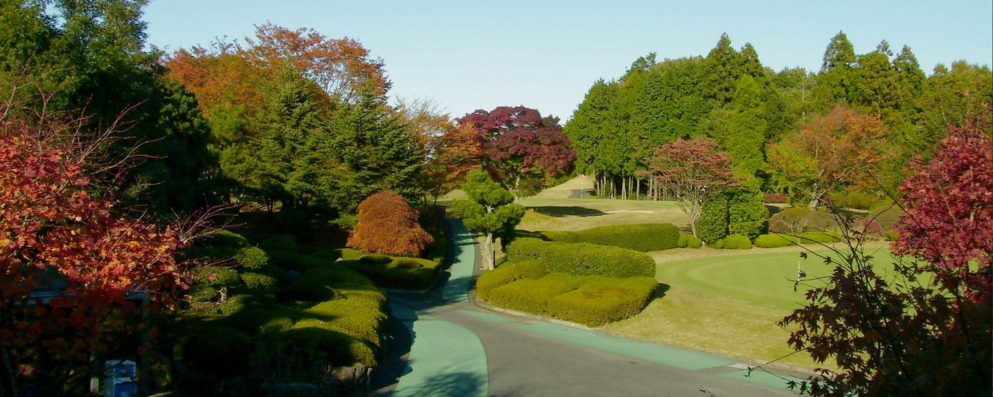 New Central Golf Club