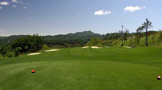 Shine/Dale Course