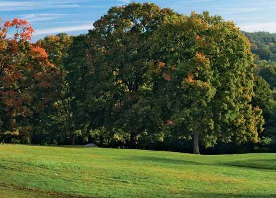 New York Presbyterian Hospital Golf Course