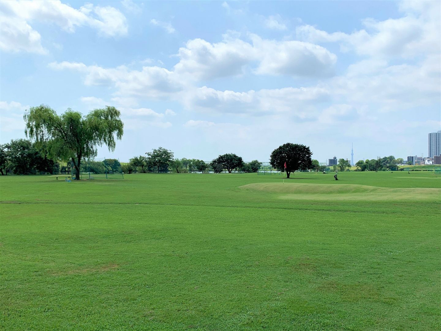 Edogawa Line Golf Short Course
