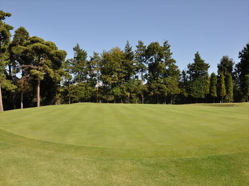 West/Middle Course
